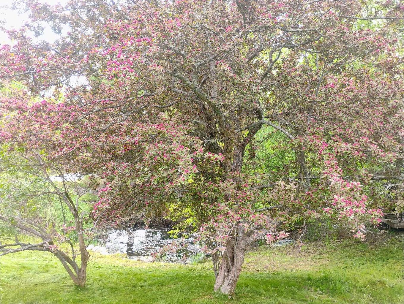 6672 Highway 332, Upper Lahave, NS