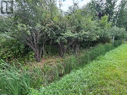 PT LT 10 3RD LINE Meaford, ON N4L 1W7