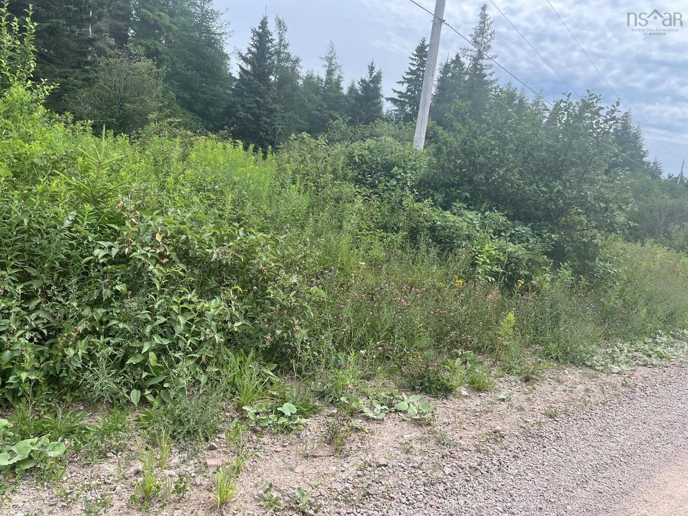 Red Point Road, Mckinnons Harbour, NS