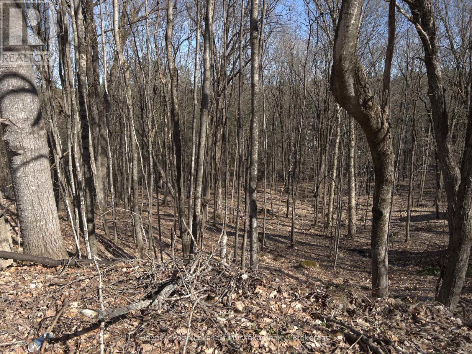 0 South Muskoka Drive, Bracebridge (Macaulay), ON