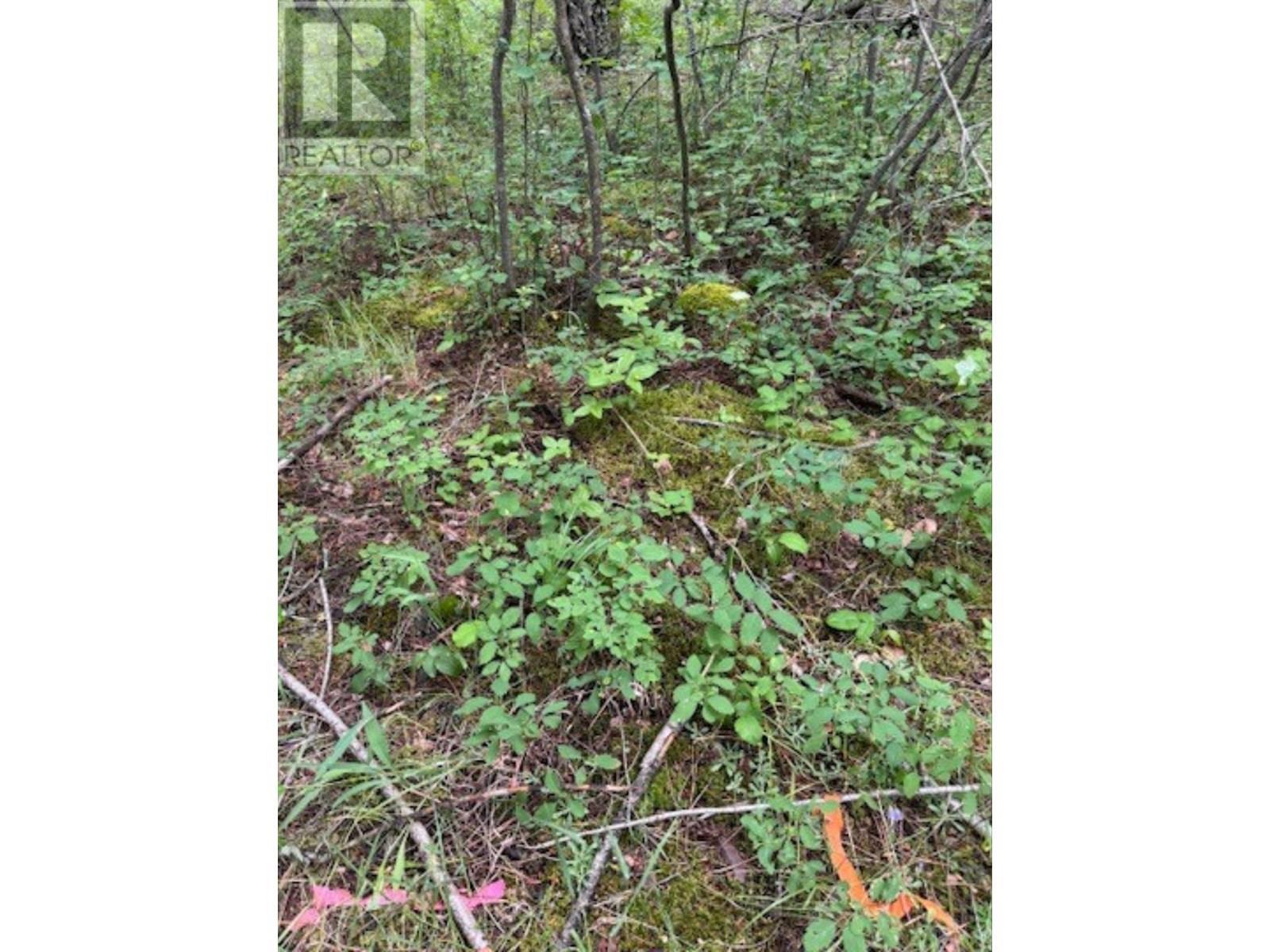 Lot 71 To 75 Holbrook Street, Elko, BC