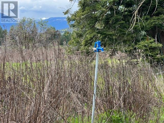 4852 48Th Street, Canyon, BC