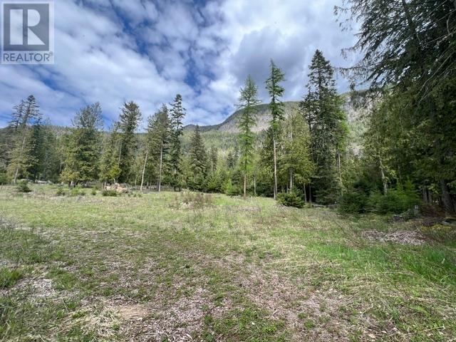 4852 48Th Street, Canyon, BC