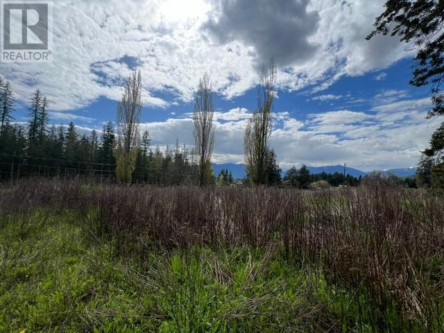 4852 48Th Street, Canyon, BC