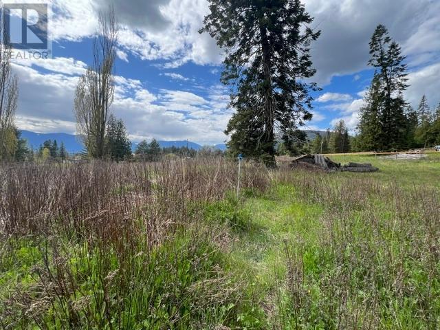 4852 48Th Street, Canyon, BC