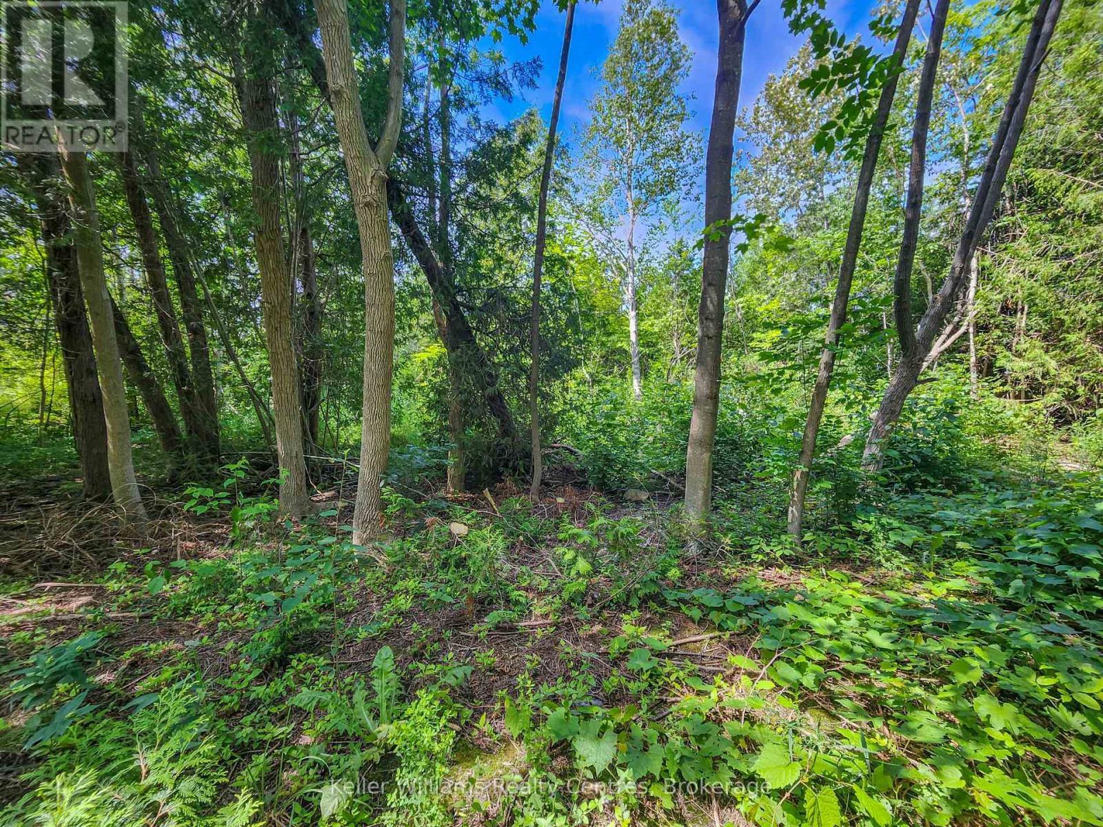 151 Mallard Street, Georgian Bluffs, ON