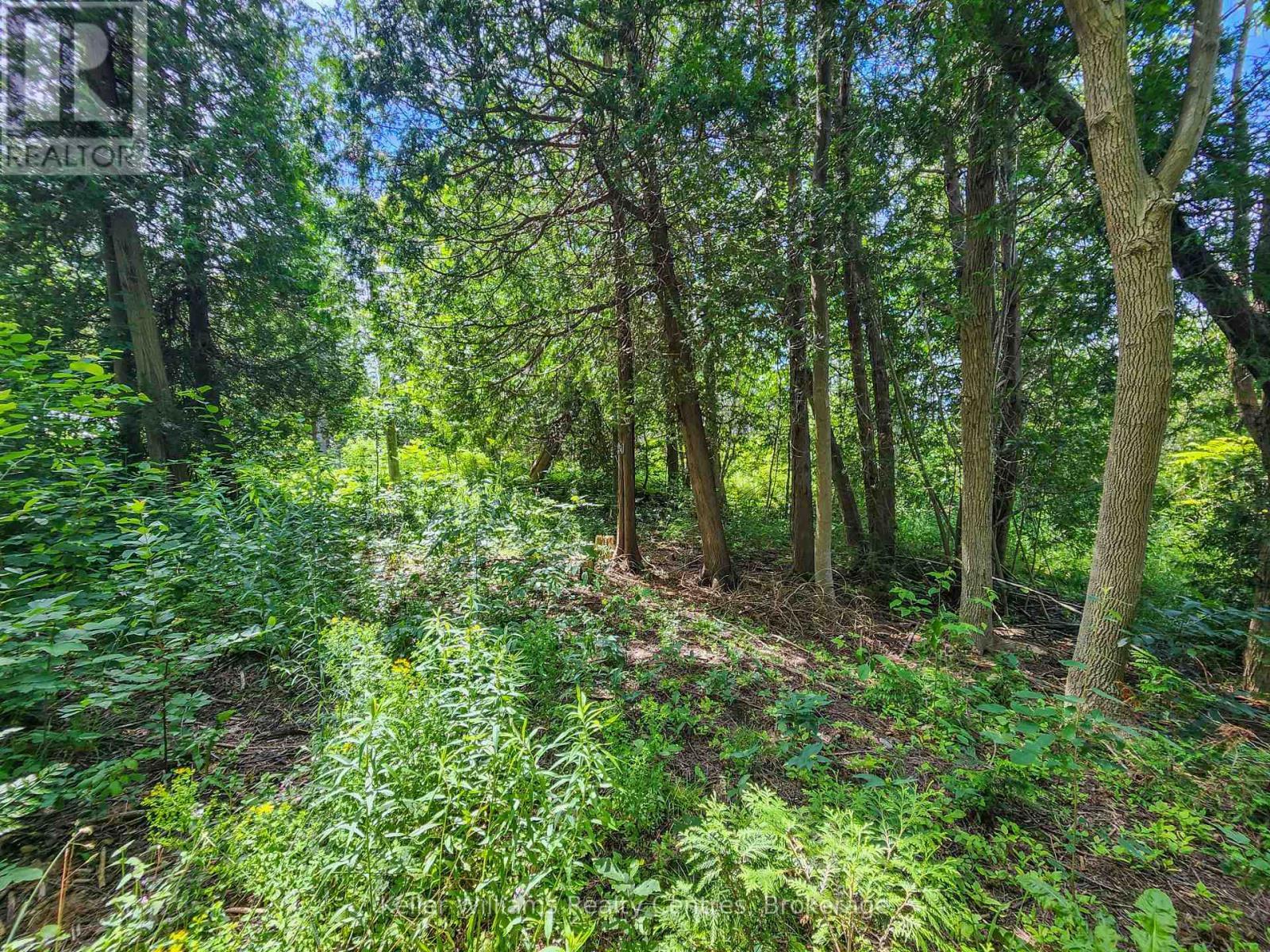 151 Mallard Street, Georgian Bluffs, ON