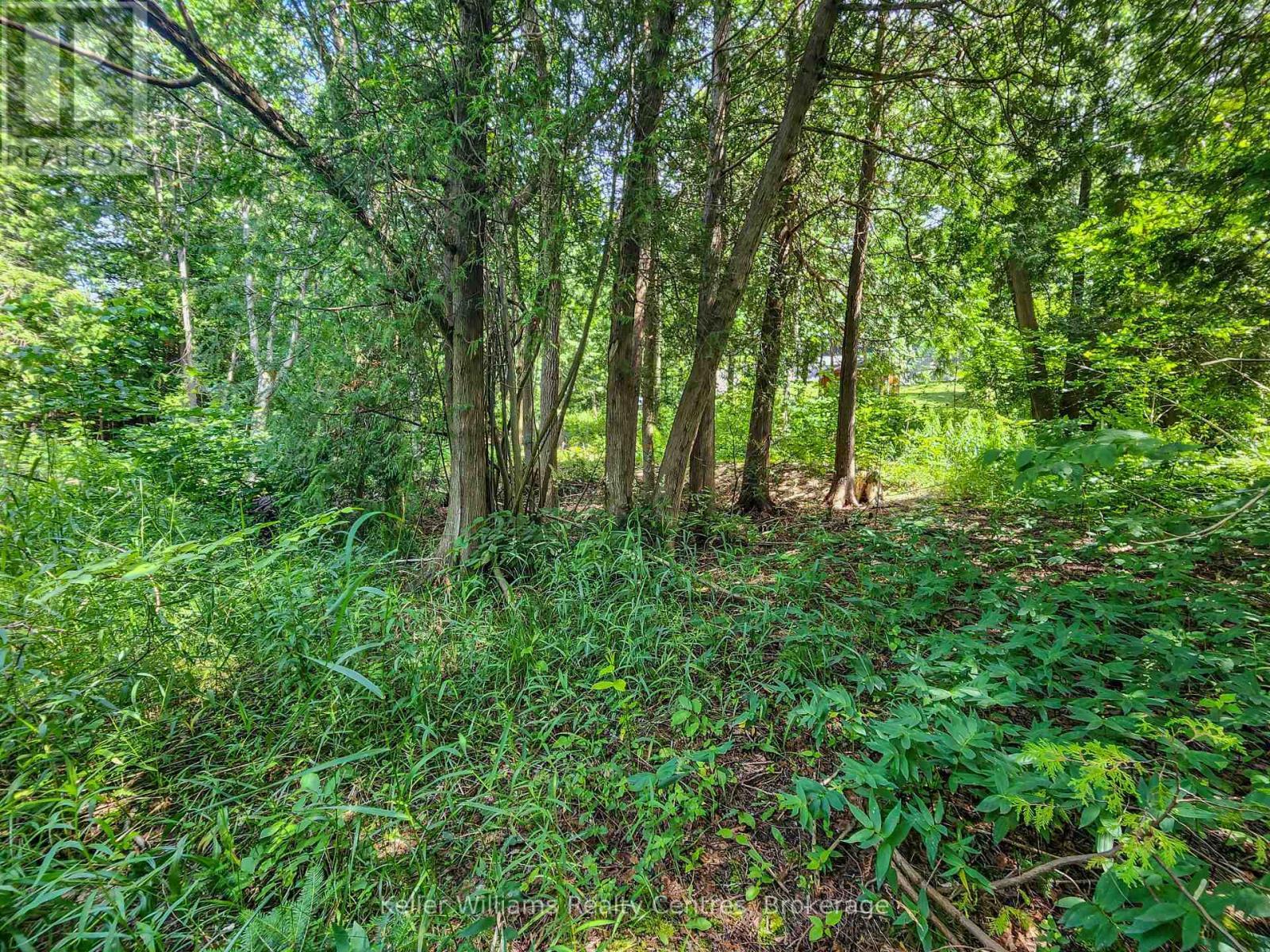 151 Mallard Street, Georgian Bluffs, ON