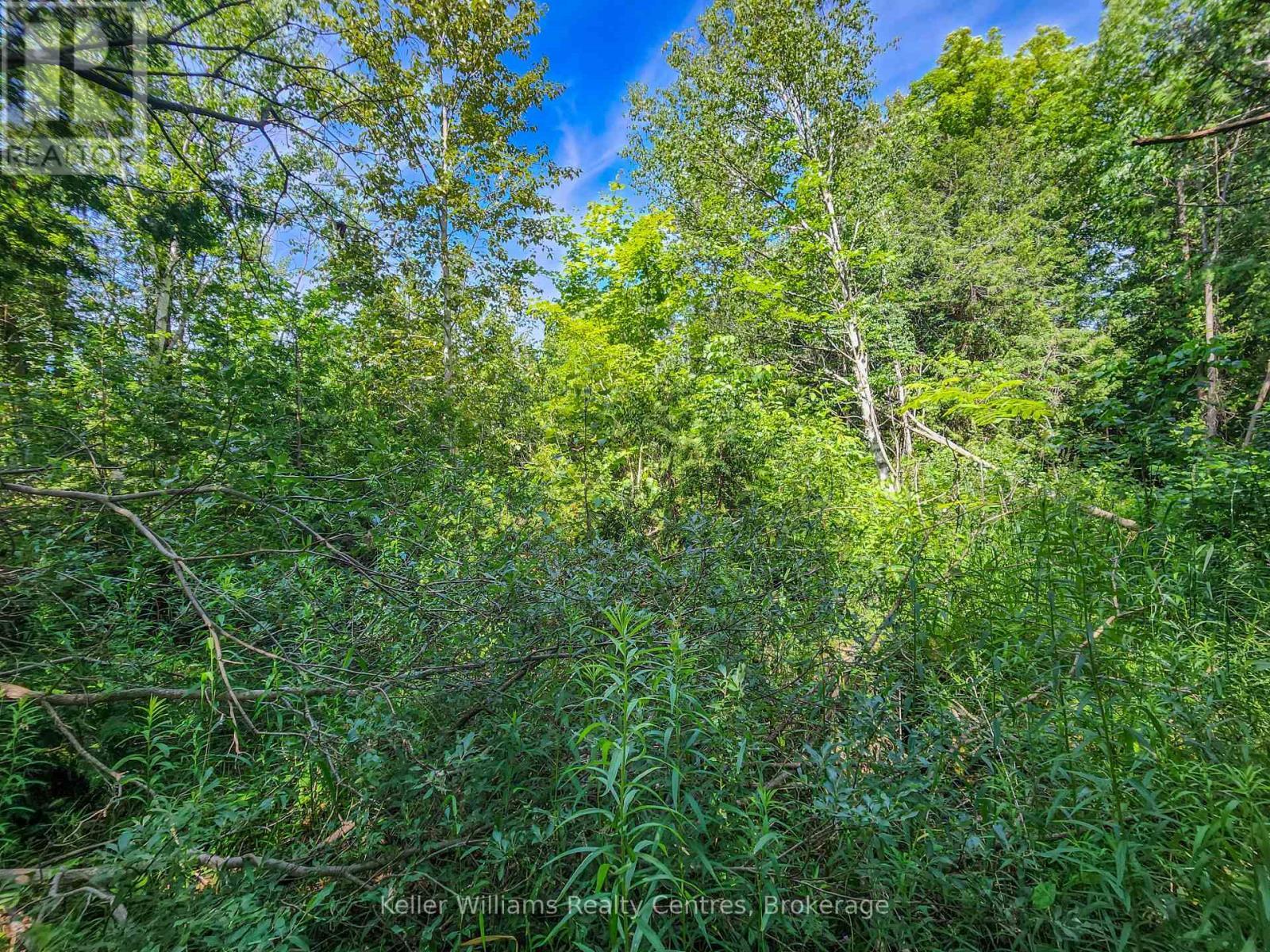 151 Mallard Street, Georgian Bluffs, ON