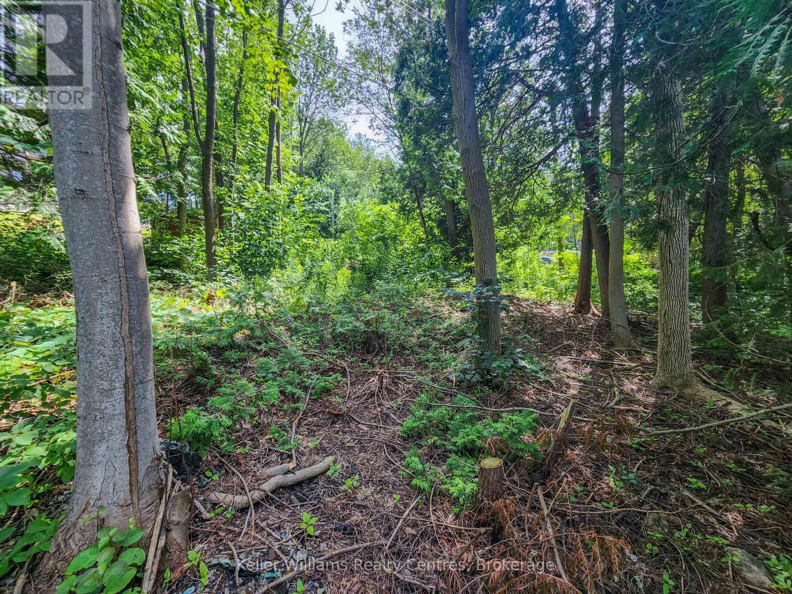 151 Mallard Street, Georgian Bluffs, ON