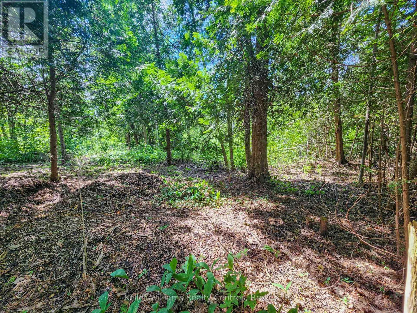 151 Mallard Street, Georgian Bluffs, ON