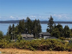 Lot 2 Douglas St Chemainus, BC V0R 1K0