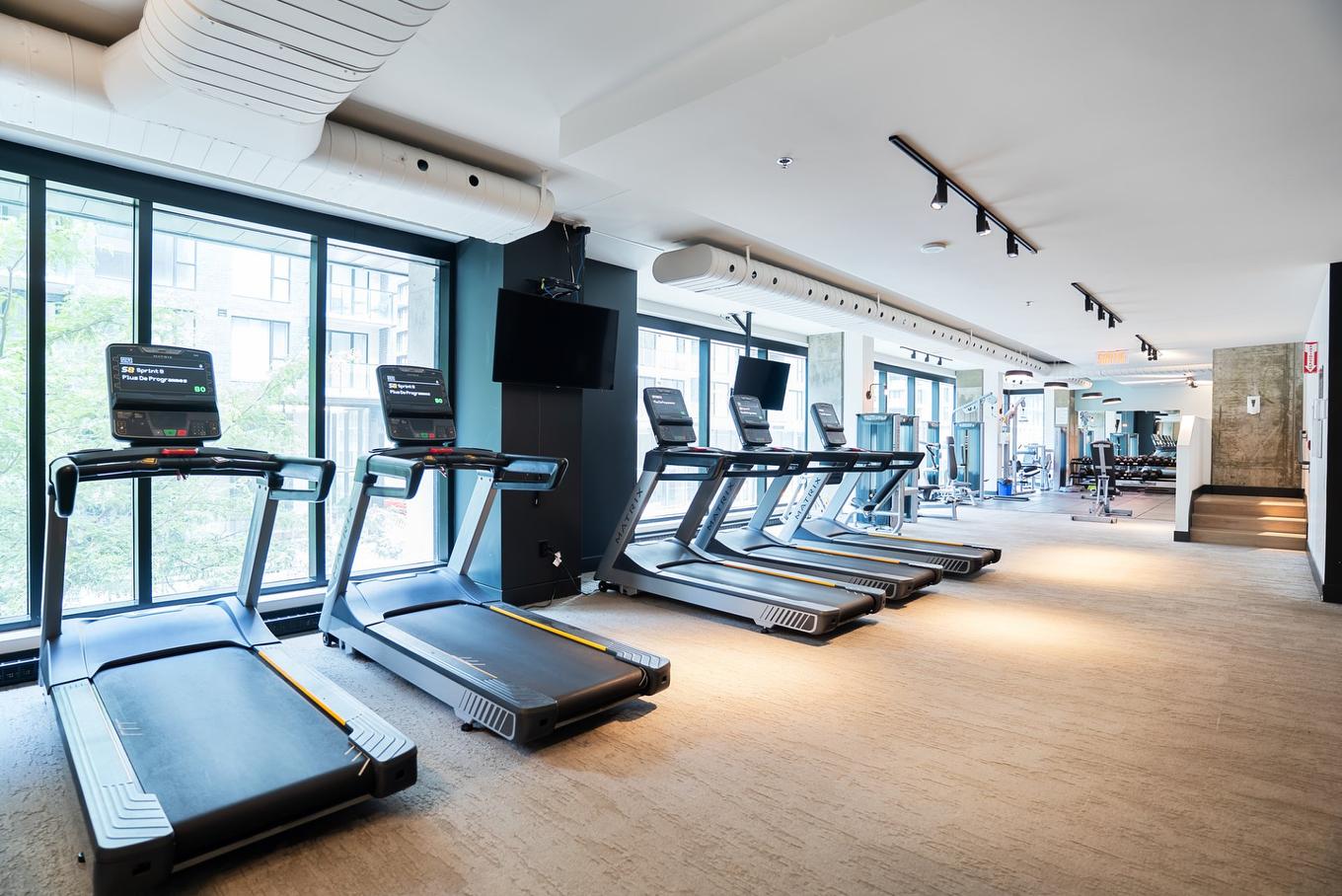 Salle d'exercice - 810-1458 Rue Des Bassins, Montréal (Le Sud-Ouest), QC - Indoor Photo Showing Gym Room