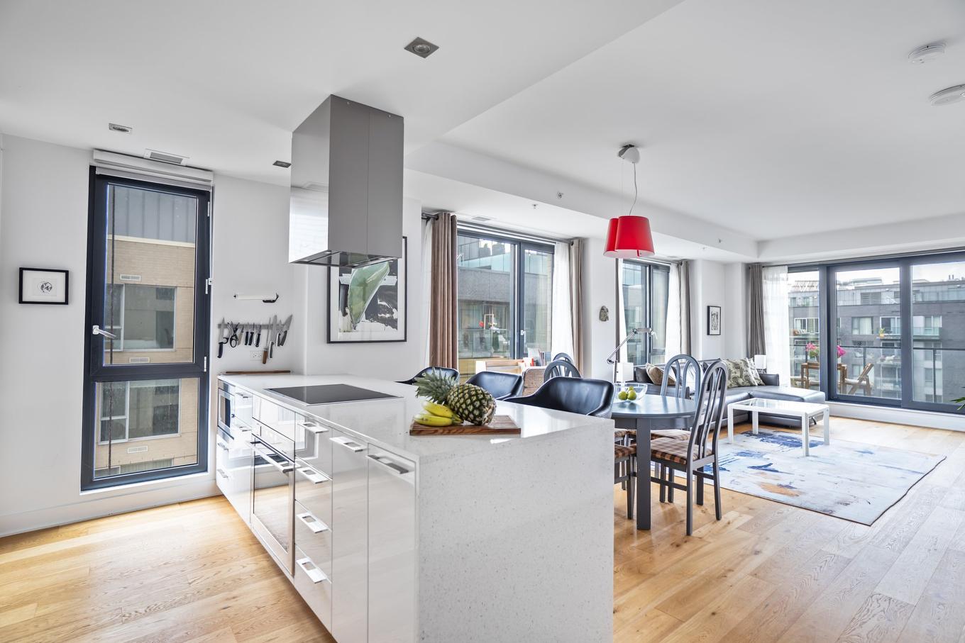 Vue d'ensemble - 810-1458 Rue Des Bassins, Montréal (Le Sud-Ouest), QC - Indoor