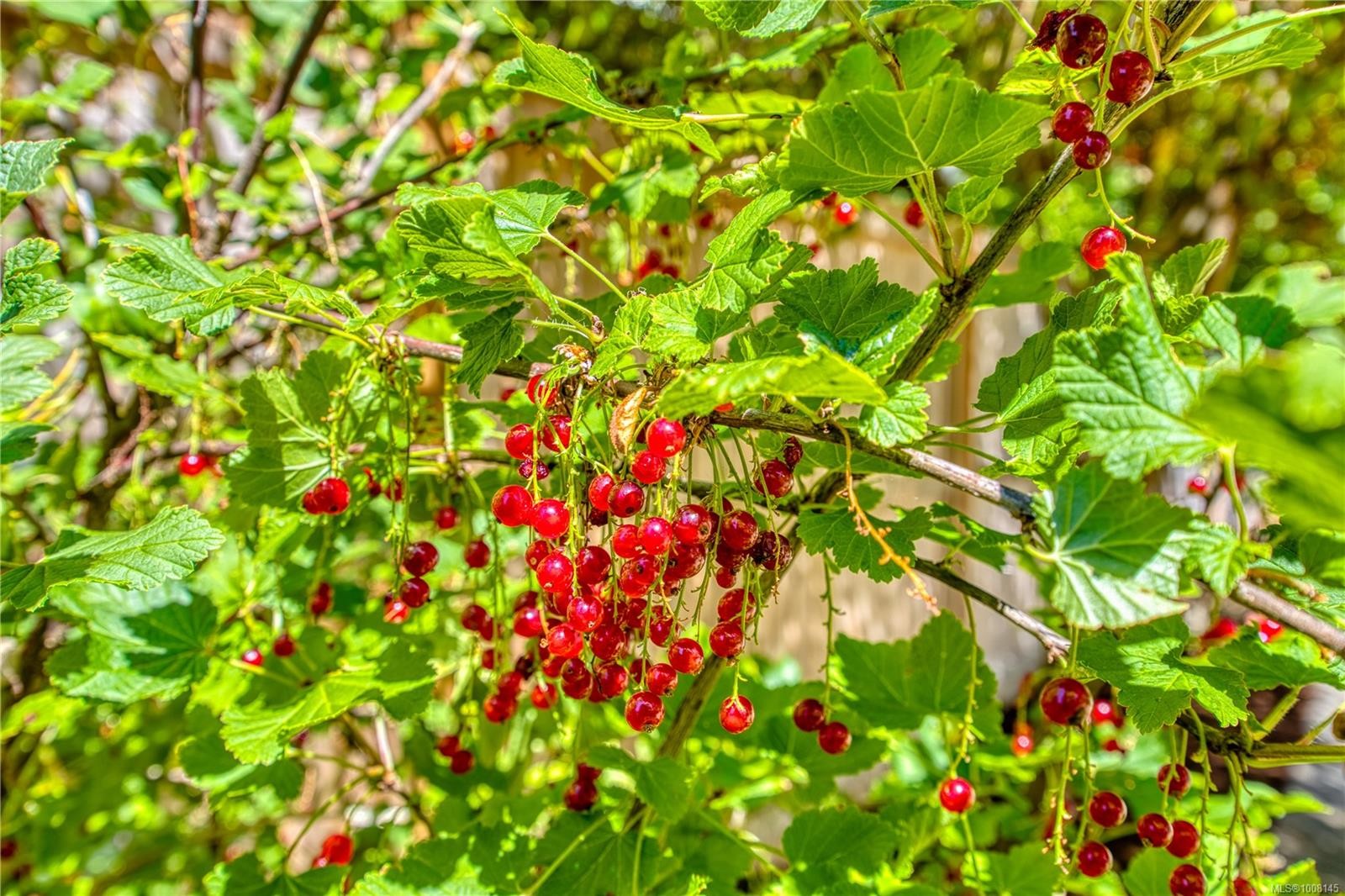 4848 Ney Dr, Nanaimo, BC