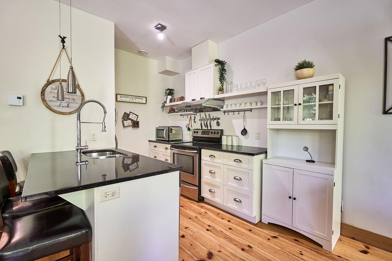 Cuisine - 31-1 Imp. De La Genèse, Lac-Supérieur, QC - Indoor Photo Showing Kitchen With Double Sink
