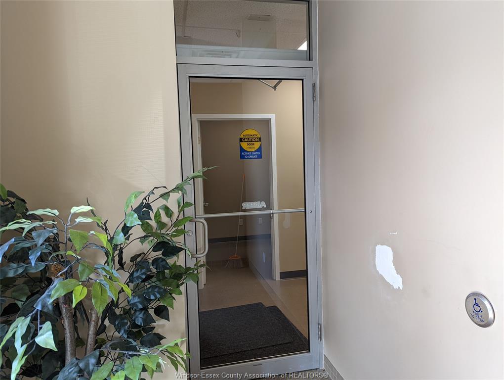 1-1074 Goyeau, Windsor, ON