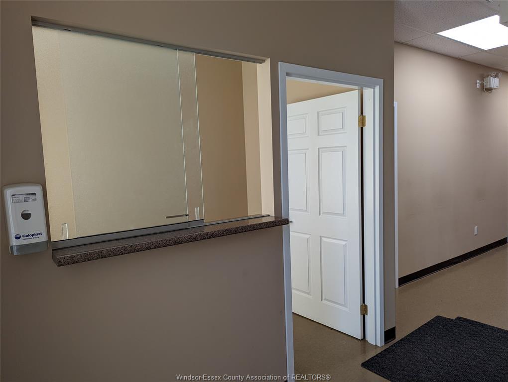 1-1074 Goyeau, Windsor, ON