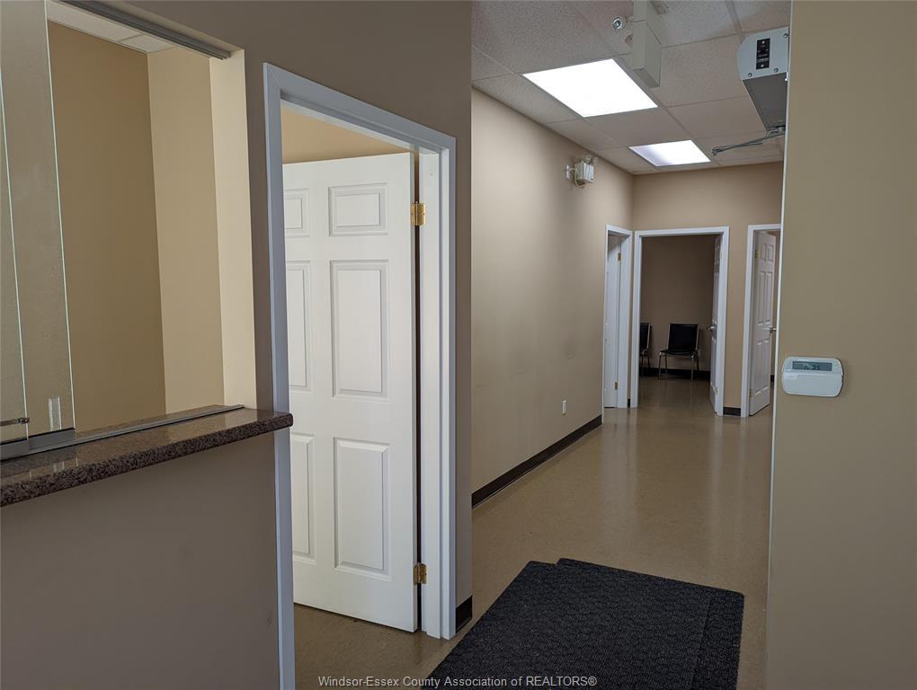 1-1074 Goyeau, Windsor, ON