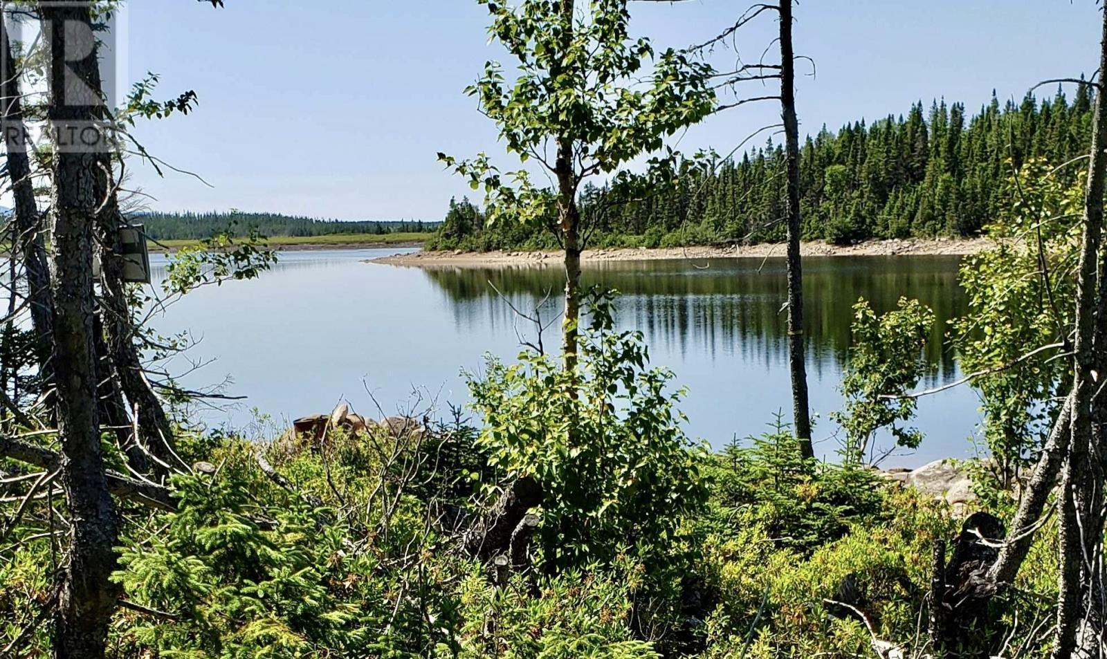 Lot 13 Birchy Cove Road, Howley, NL