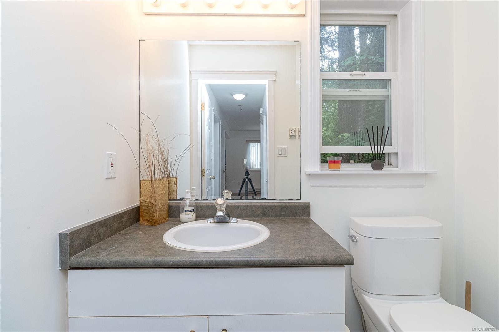 2466 Galland Ave, Shawnigan Lake, BC