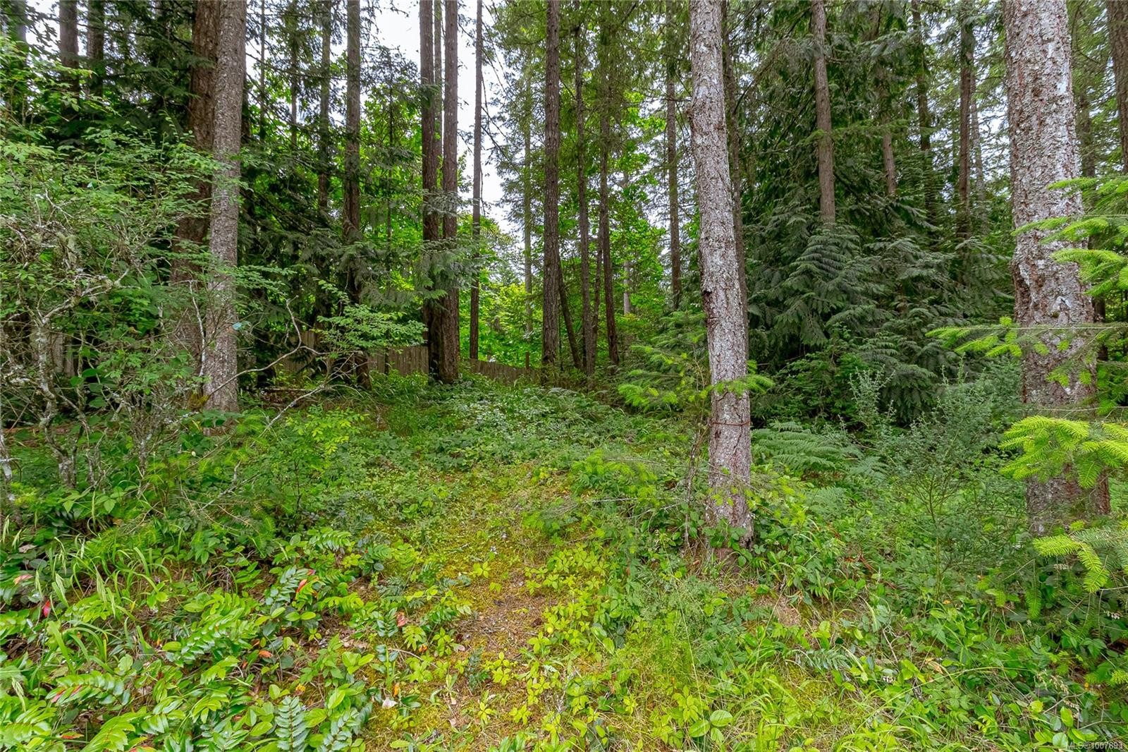 2466 Galland Ave, Shawnigan Lake, BC