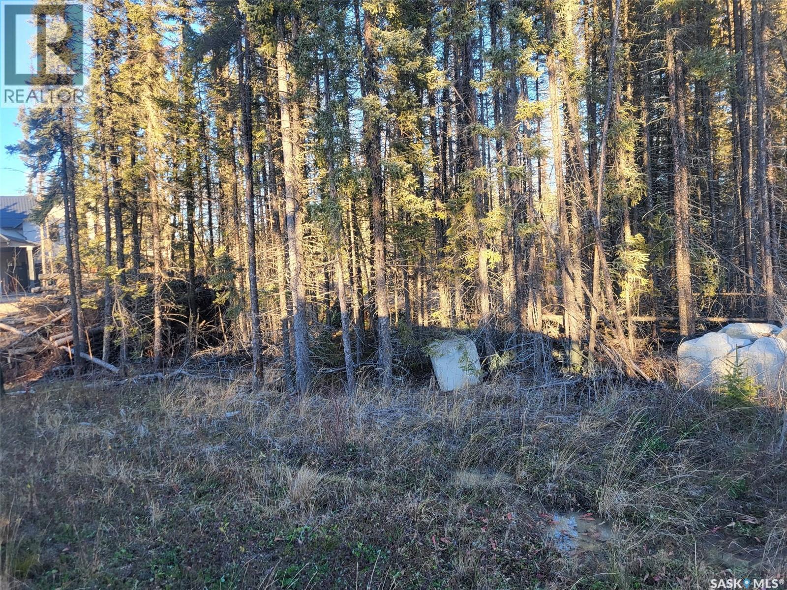 4 Billy Joe Bay, Candle Lake, SK