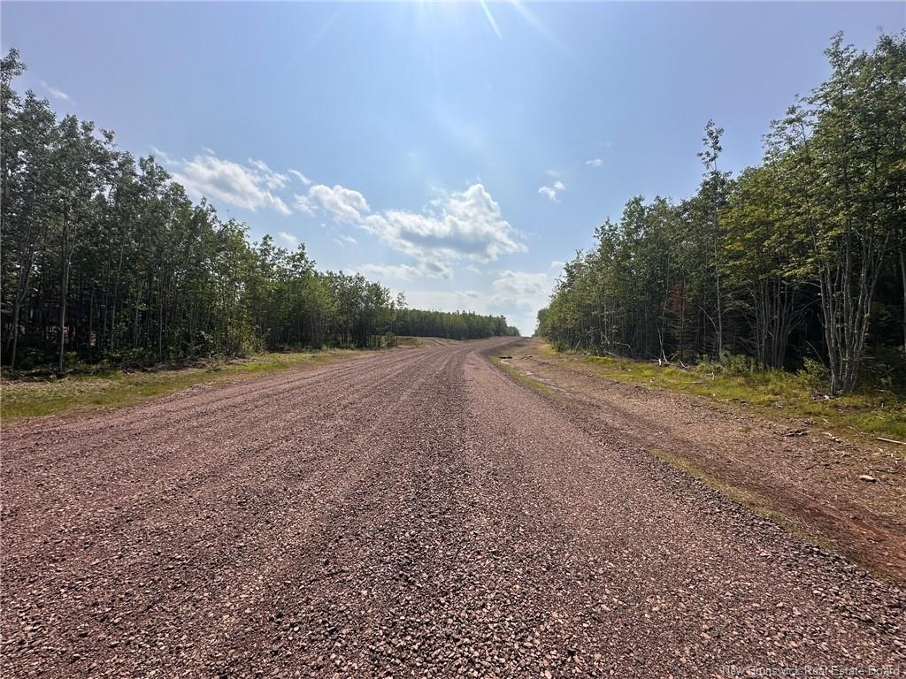 Lot 25-38 Snowfox Dr, Irishtown, NB