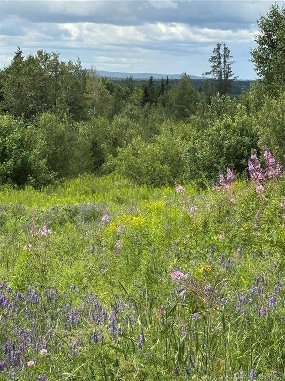 1080 Beaconsfield Rd, Beaconsfield, NB