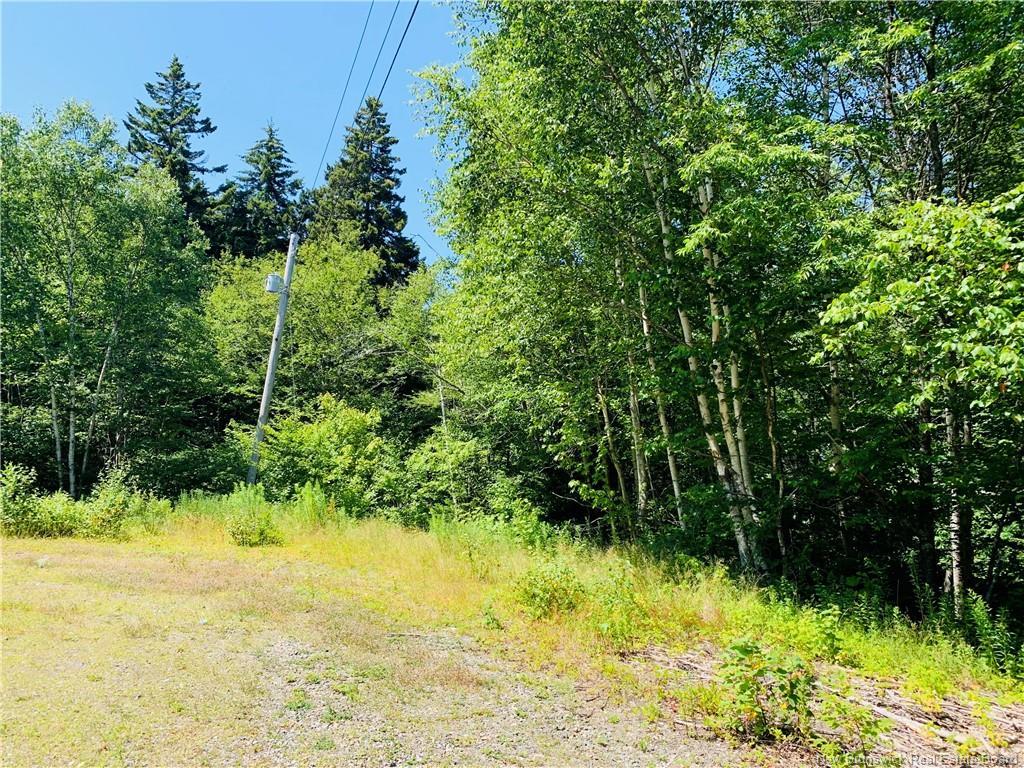 85-39 Alder Crt, Wilsons Beach, NB