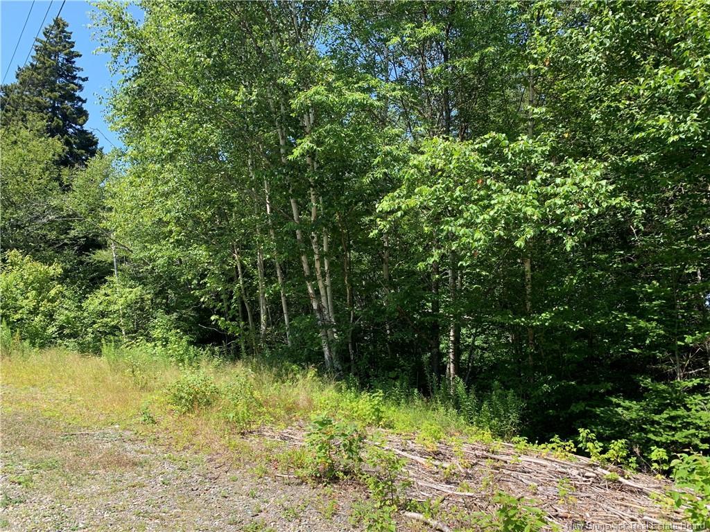 85-39 Alder Crt, Wilsons Beach, NB