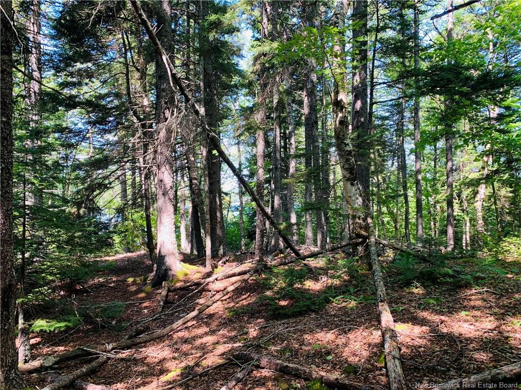 85-39 Alder Crt, Wilsons Beach, NB