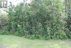 Vacant Lot on Highway 11 N -