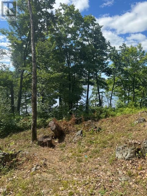 493 Buttermilk Lane N, Marmora And Lake (Marmora Ward), ON - Outdoor With View