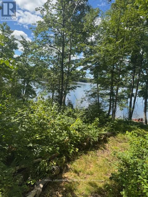 493 Buttermilk Lane N, Marmora And Lake (Marmora Ward), ON - Outdoor With Body Of Water With View