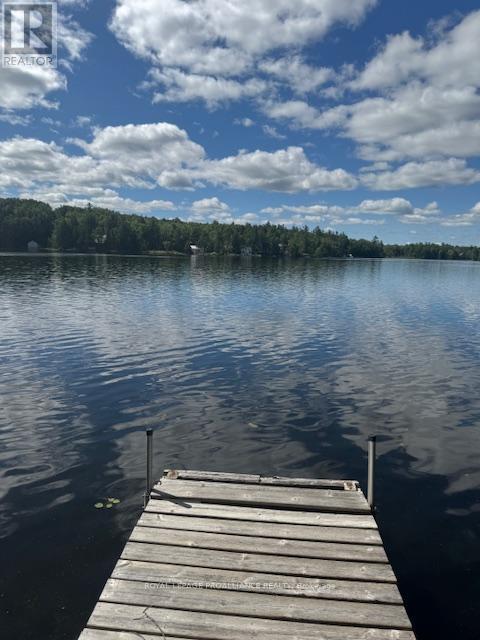 493 Buttermilk Lane N, Marmora And Lake (Marmora Ward), ON - Outdoor With Body Of Water With View
