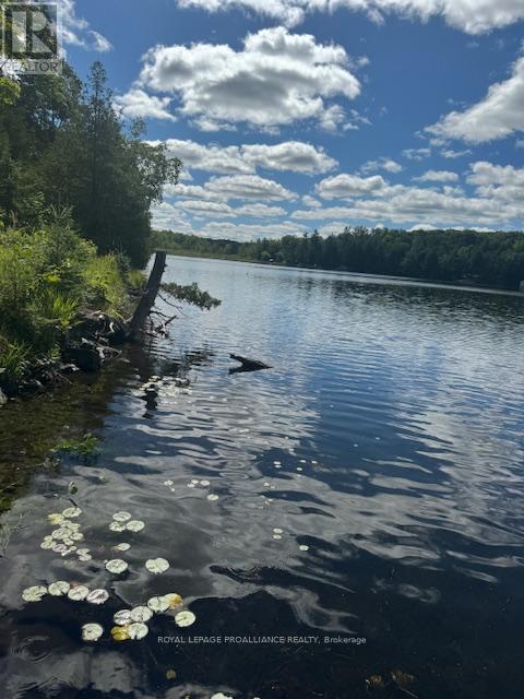 493 Buttermilk Lane N, Marmora And Lake (Marmora Ward), ON - Outdoor With Body Of Water With View