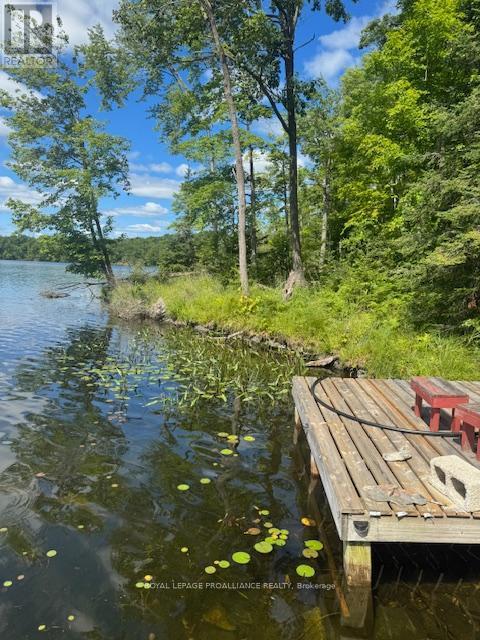 493 Buttermilk Lane N, Marmora And Lake (Marmora Ward), ON - Outdoor With Body Of Water With View