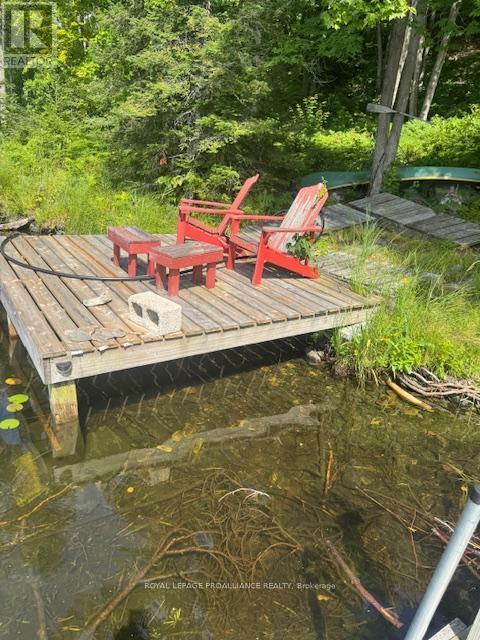 493 Buttermilk Lane N, Marmora And Lake (Marmora Ward), ON - Outdoor