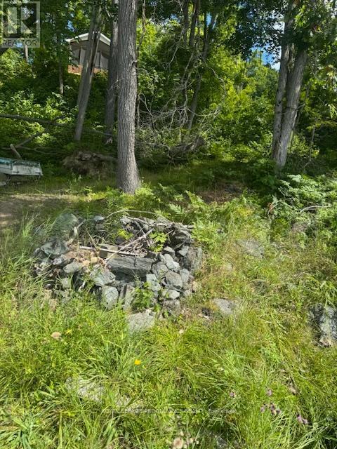 493 Buttermilk Lane N, Marmora And Lake (Marmora Ward), ON - Outdoor