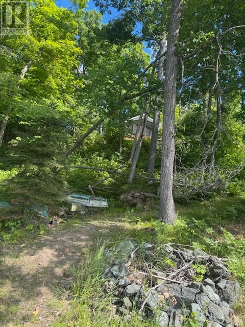 493 Buttermilk Lane N, Marmora And Lake (Marmora Ward), ON - Outdoor