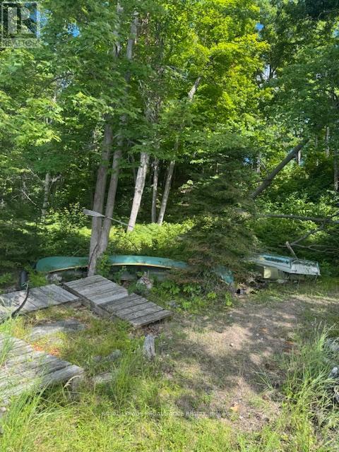 493 Buttermilk Lane N, Marmora And Lake (Marmora Ward), ON - Outdoor