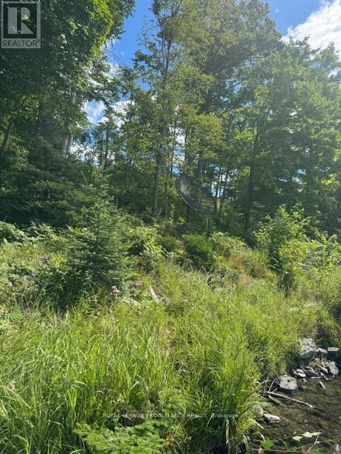 493 Buttermilk Lane N, Marmora And Lake (Marmora Ward), ON - Outdoor With View