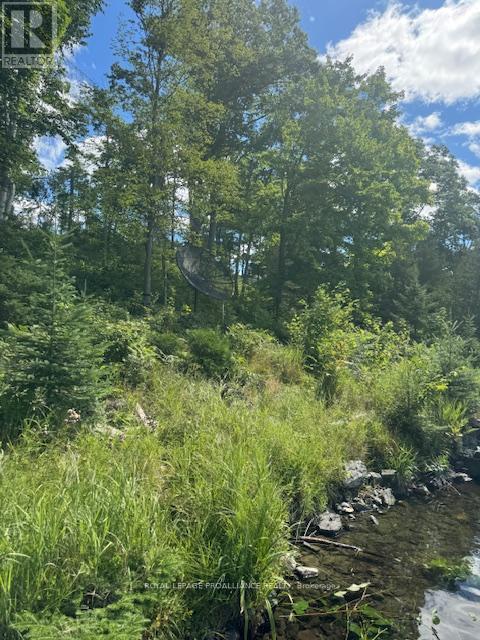 493 Buttermilk Lane N, Marmora And Lake (Marmora Ward), ON - Outdoor With View