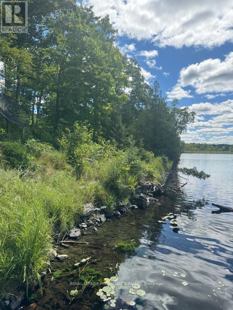 493 Buttermilk Lane N, Marmora And Lake (Marmora Ward), ON - Outdoor With Body Of Water With View