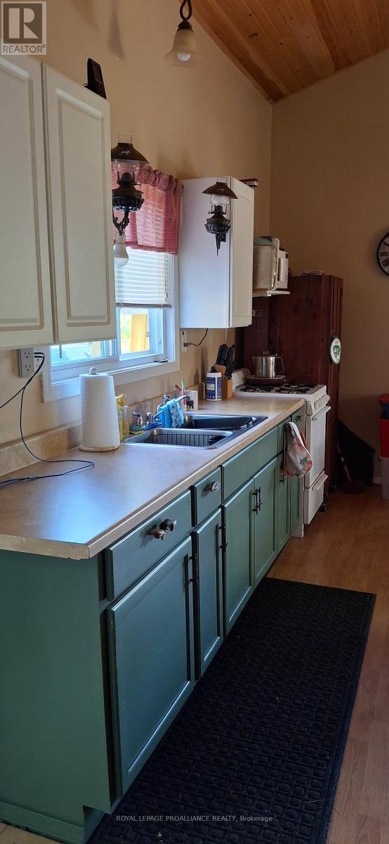 493 Buttermilk Lane N, Marmora And Lake (Marmora Ward), ON - Indoor Photo Showing Kitchen With Double Sink