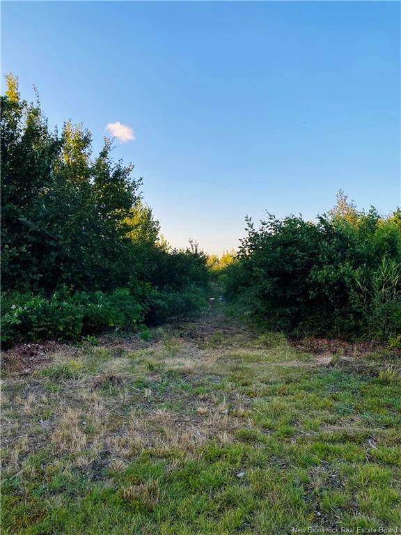 - Point-Aux-Carr Rd, Napan, NB