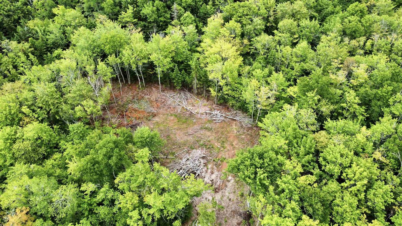 0 Mapleridge Estates, New London, PE