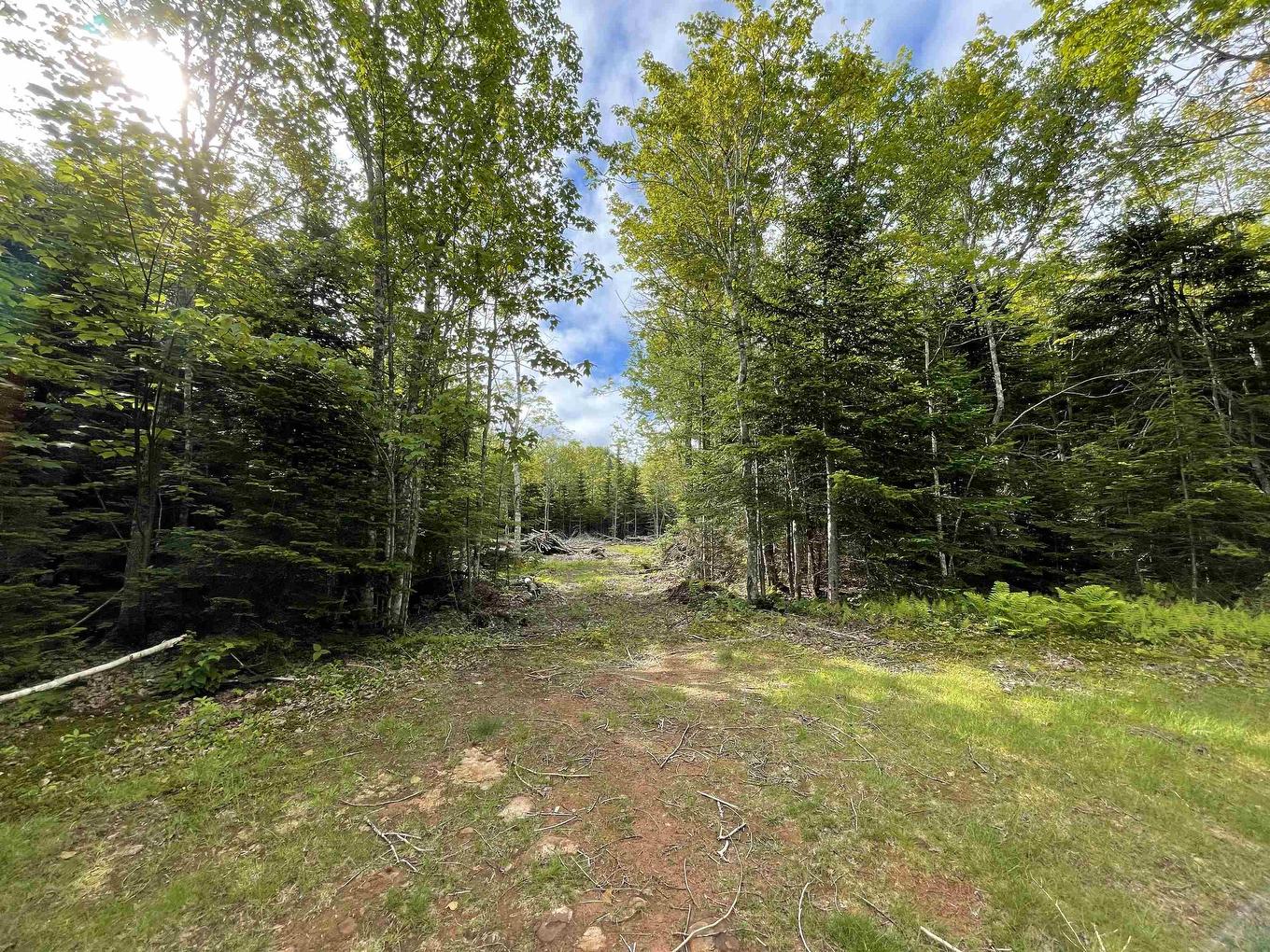 0 Mapleridge Estates, New London, PE