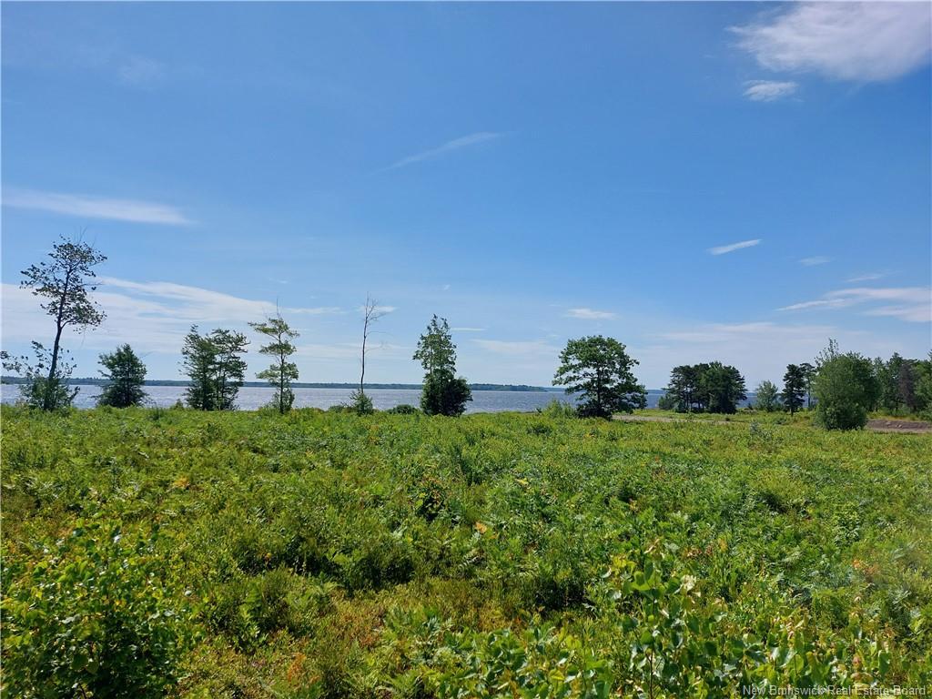 Lot 23-8 Blueberry Beach Rd, Newcastle Creek, NB